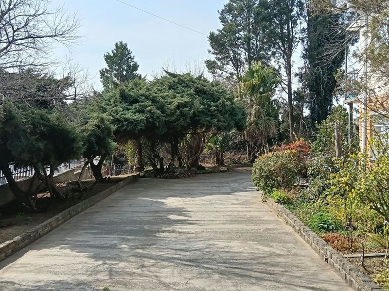 A paved driveway leading through a mature garden area with established trees and stone-edged landscaping.