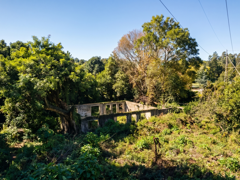 Build Your Dream Home in Merrivale - Photo 6