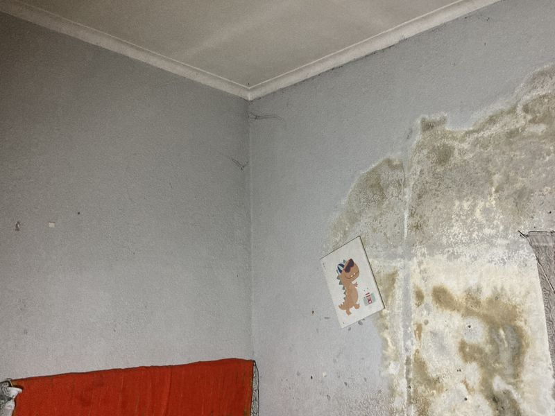 Renovator’s Opportunity – Prime TLC Property with Endless Potential - Photo 10
