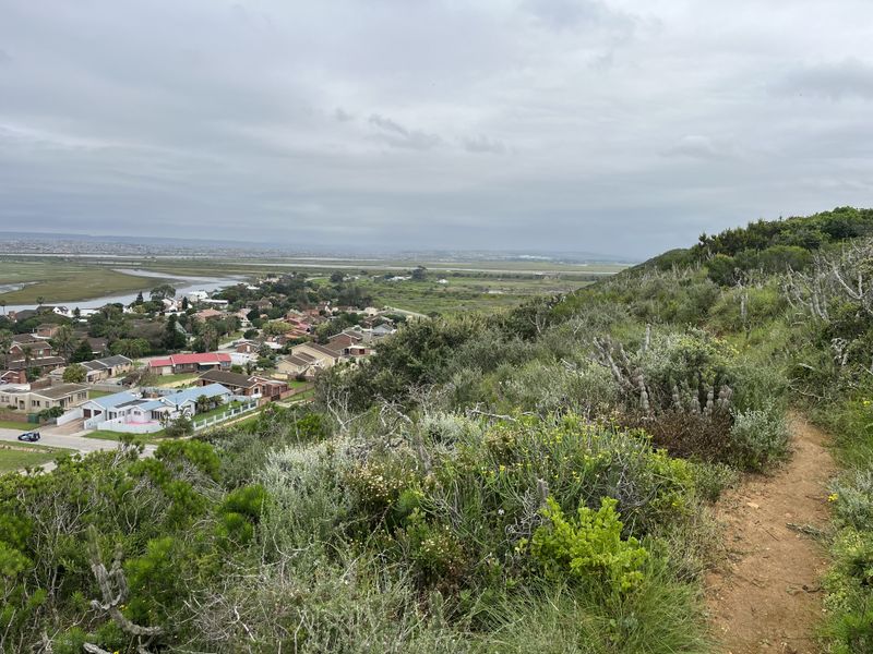 A scenic elevated view overlooking a residential neighborhood, coastal landscape, and natural vegetation from a hillside path.