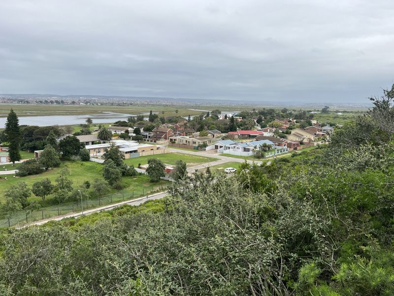 An elevated aerial view overlooking a residential neighborhood, surrounding green space, and a distant lagoon under an overcast sky.