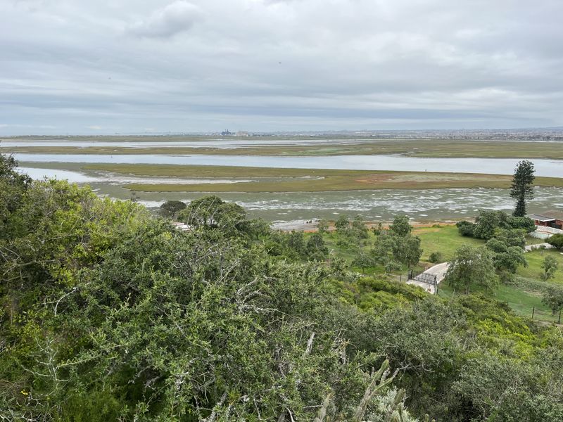 An elevated view overlooking expansive wetlands and natural landscape, showcasing the scenic surroundings of the property.