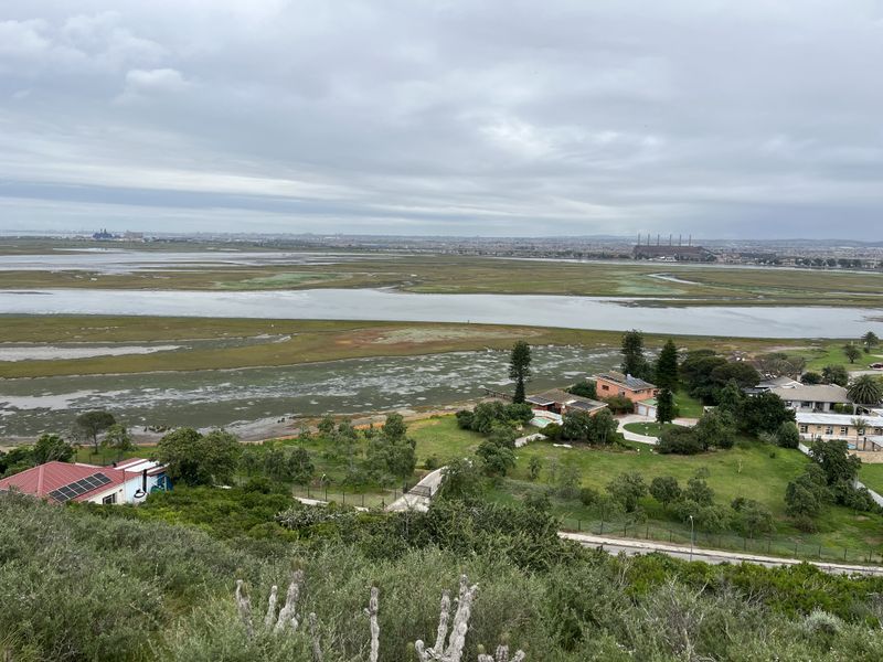 An elevated panoramic view overlooking expansive wetlands, coastal landscape, and surrounding residential properties under a cloudy sky.