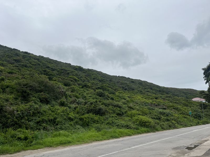 A view of a sloped, undeveloped residential plot covered in natural vegetation, situated adjacent to a paved road.