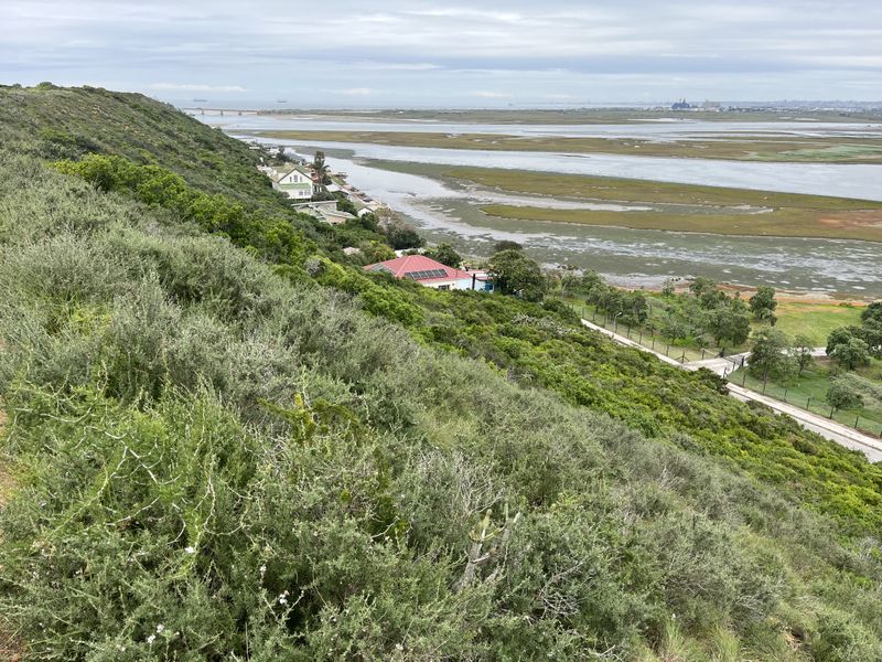 A scenic elevated view overlooking the coastal estuary, surrounding natural vegetation, and distant residential properties.