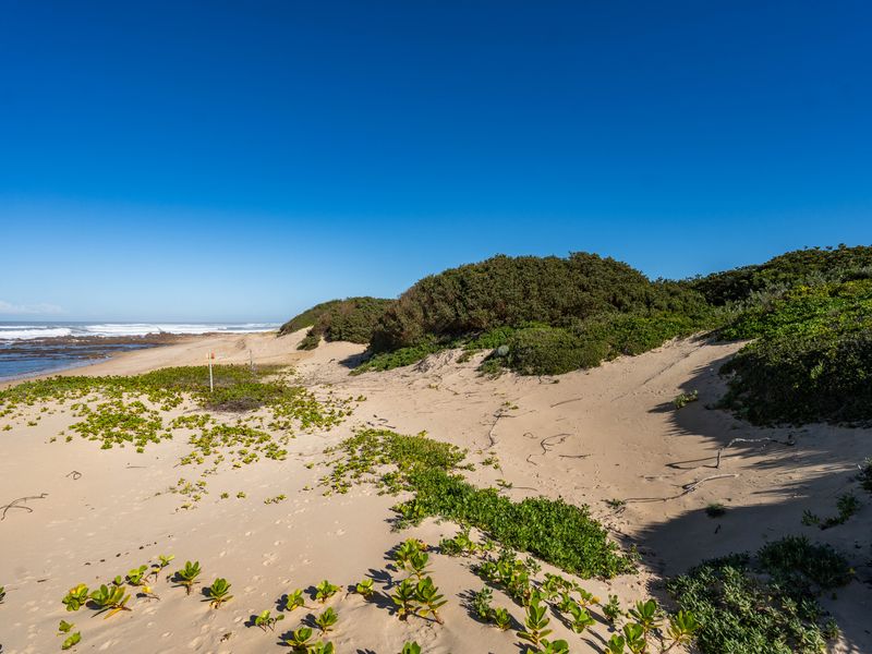Where Coastal Wilderness Meets Private Beachfront Living in Port Alfred - Photo 6
