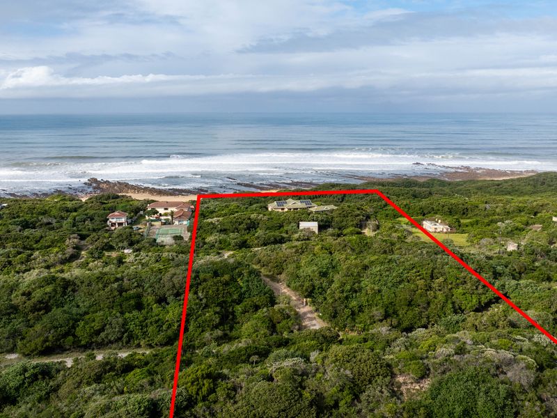 Aerial view of a coastal property plot outlined in red, featuring dense natural vegetation and proximity to the ocean.