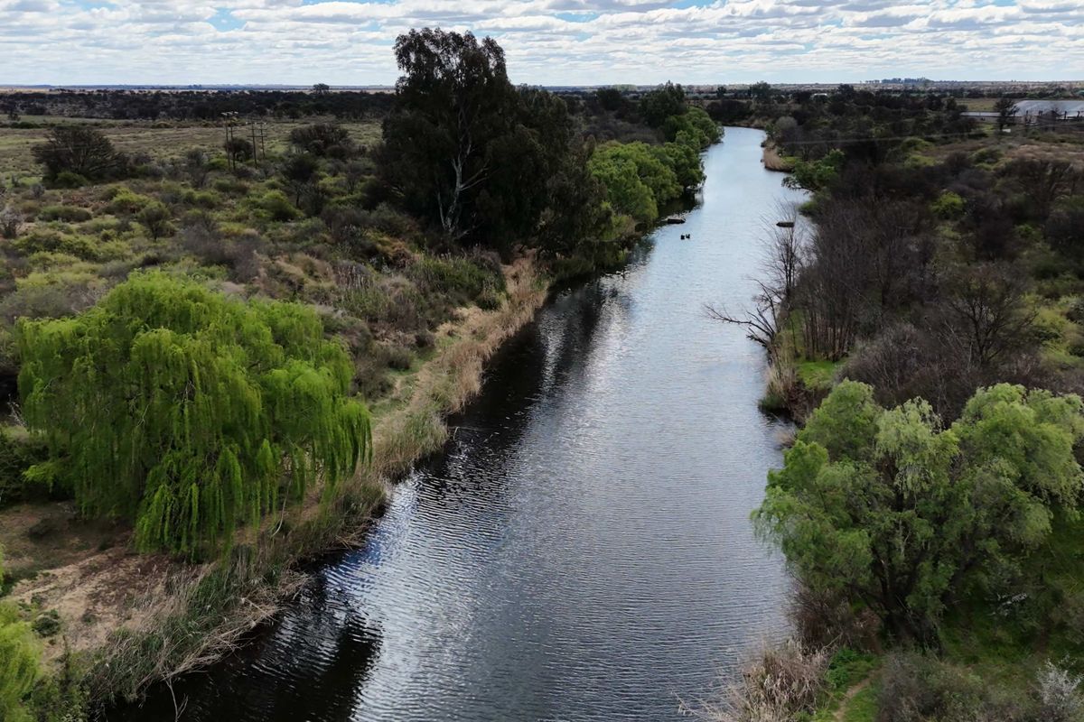 An aerial view of a natural river flowing through the farm landscape, surrounded by mature trees and indigenous vegetation.