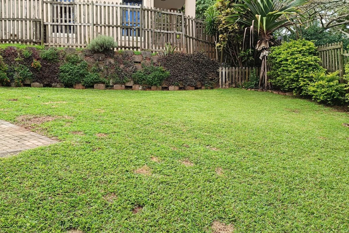 A private rear garden featuring a lawn, paved patio area, and a stone retaining wall with timber boundary fencing.