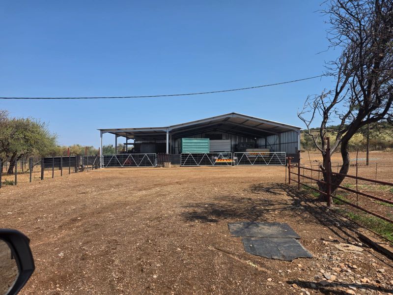 A large, open-sided corrugated metal farm shed structure with steel framing and gated access, situated on a rural property.