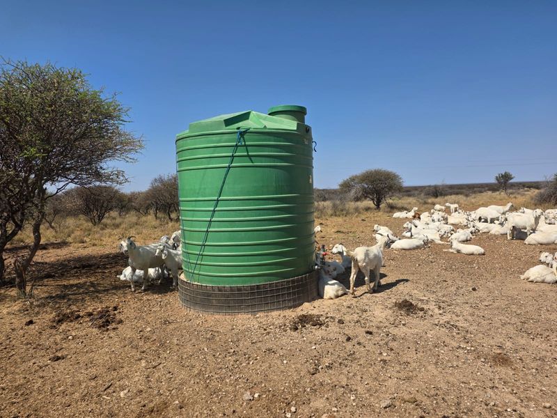 A large green plastic water storage tank situated in an open farm field, serving as a livestock watering point.
