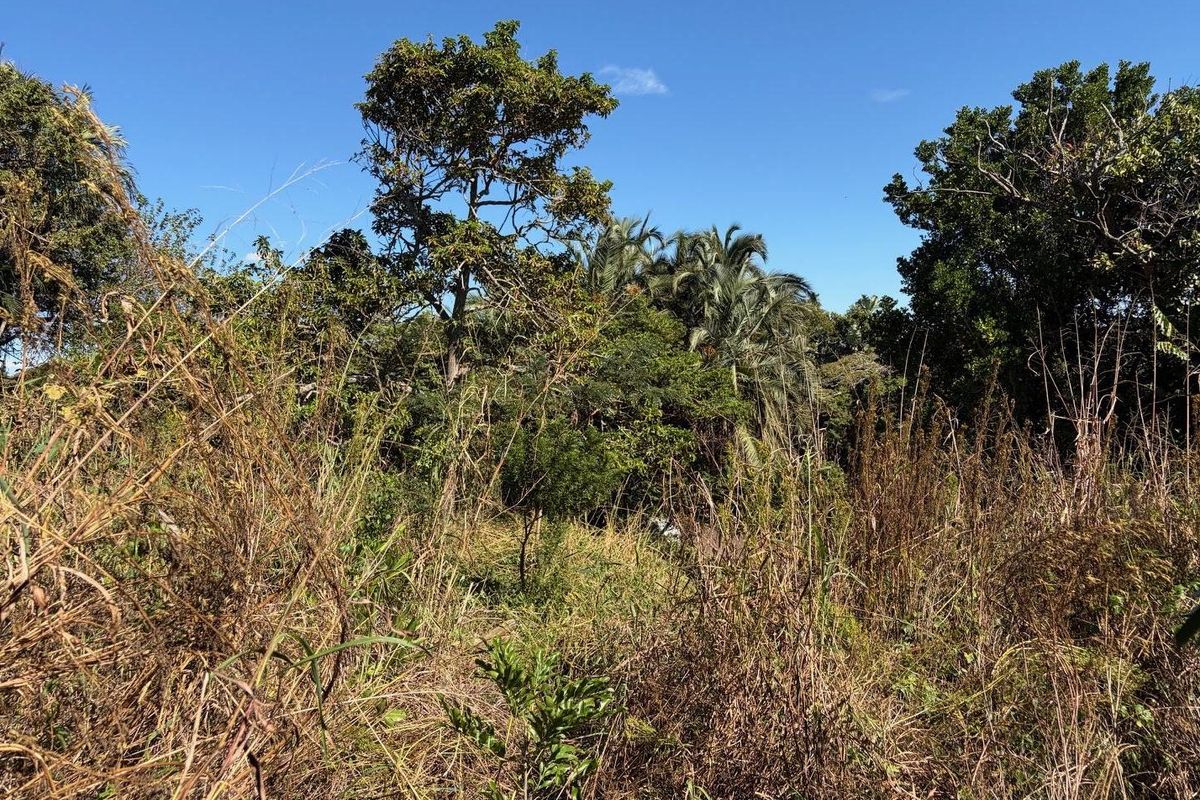 Vacant land in Abrams Crest - Photo 2