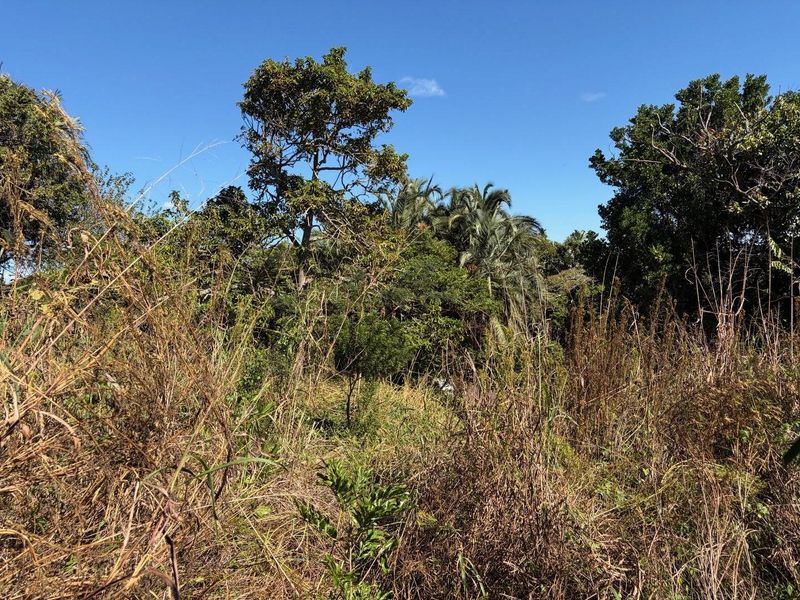 Vacant land in Abrams Crest - Photo 2