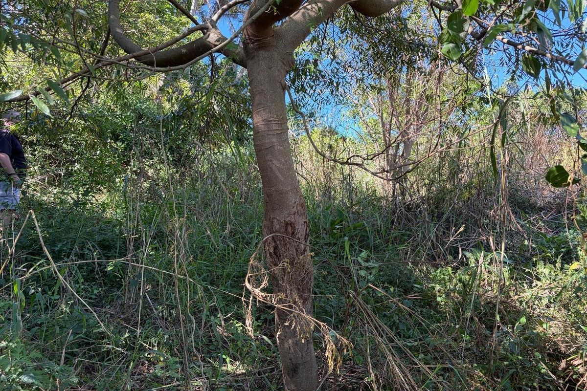 Vacant land in Abrams Crest - Photo 4