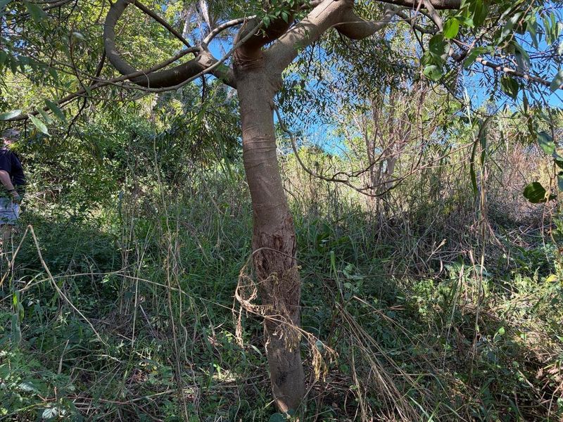Vacant land in Abrams Crest - Photo 4