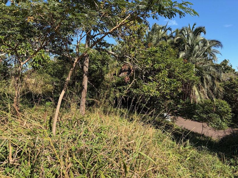 Vacant land in Abrams Crest - Photo 9