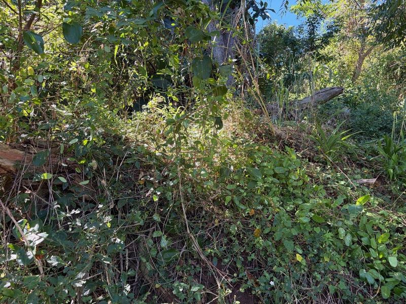 Vacant land in Abrams Crest - Photo 6