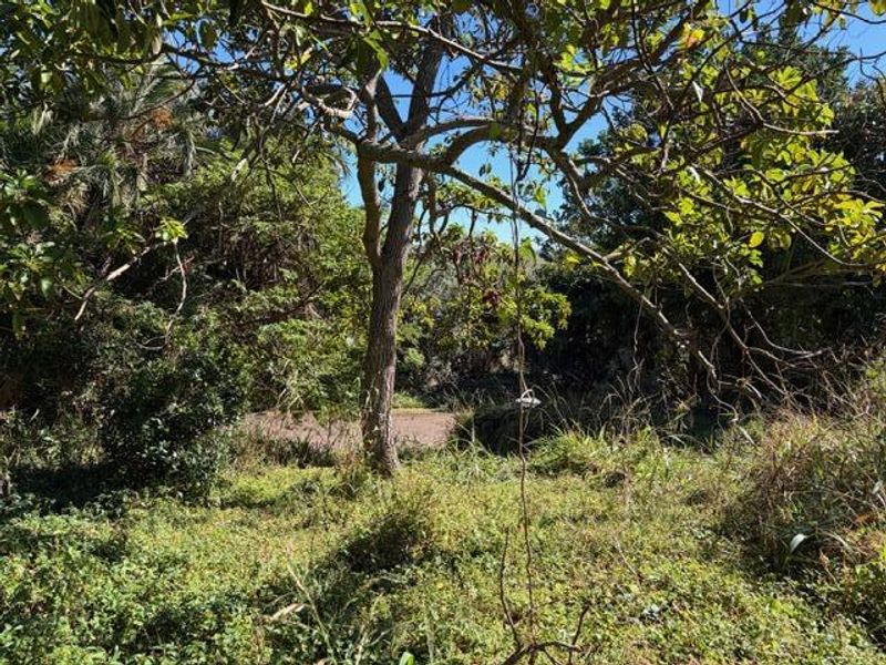 Vacant land in Abrams Crest - Photo 8