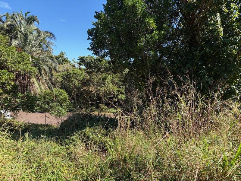 Vacant land in Abrams Crest - Photo 1