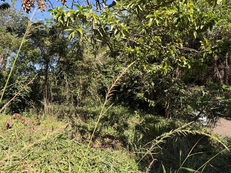Vacant land in Abrams Crest - Photo 7