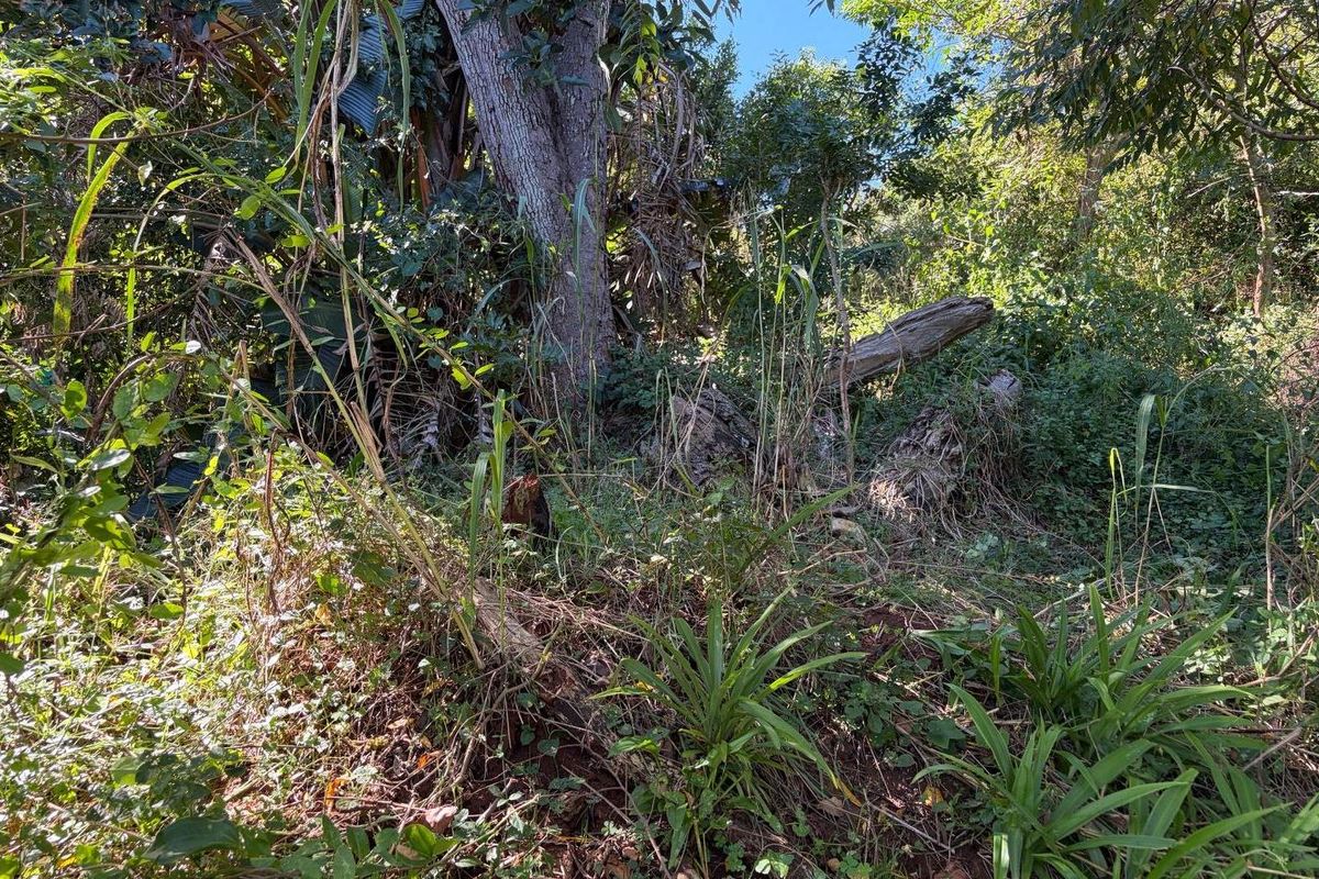 Vacant land in Abrams Crest - Photo 5