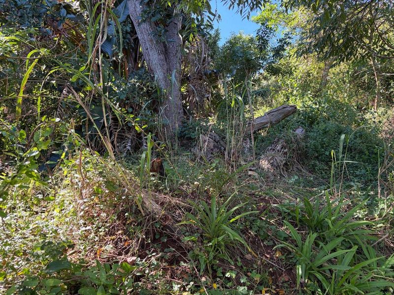 Vacant land in Abrams Crest - Photo 5