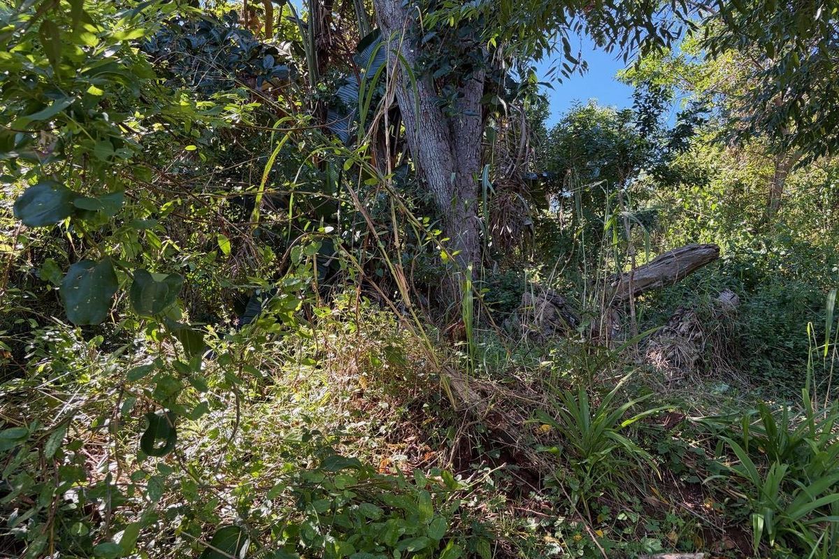 Vacant land in Abrams Crest - Photo 3