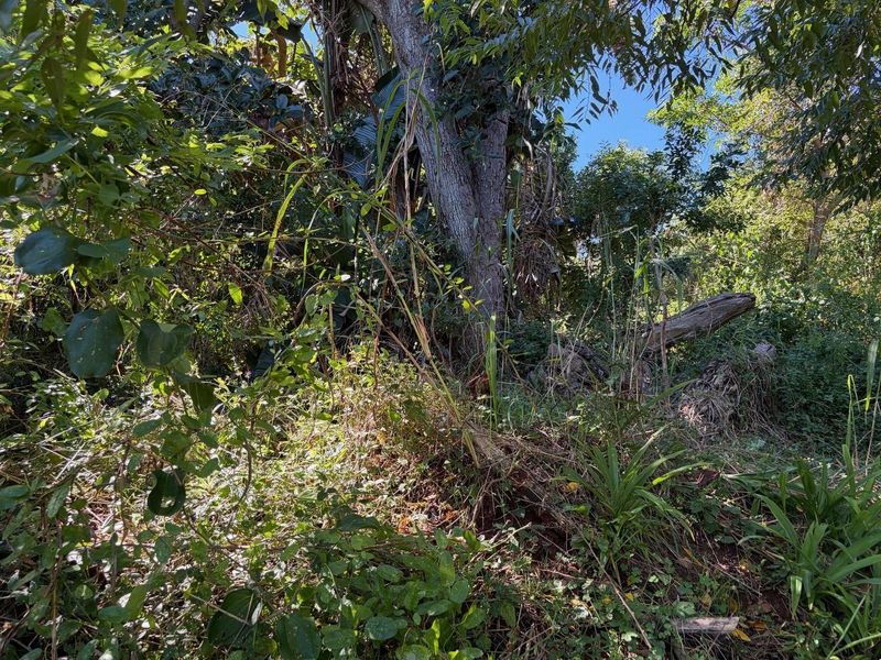 Vacant land in Abrams Crest - Photo 3