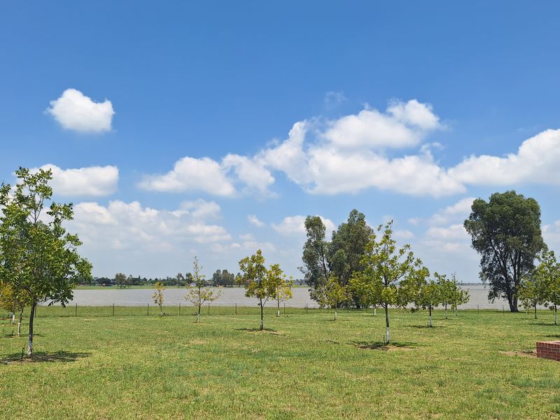 A scenic view of a grassy lawn with young trees, overlooking a large body of water under a clear blue sky.