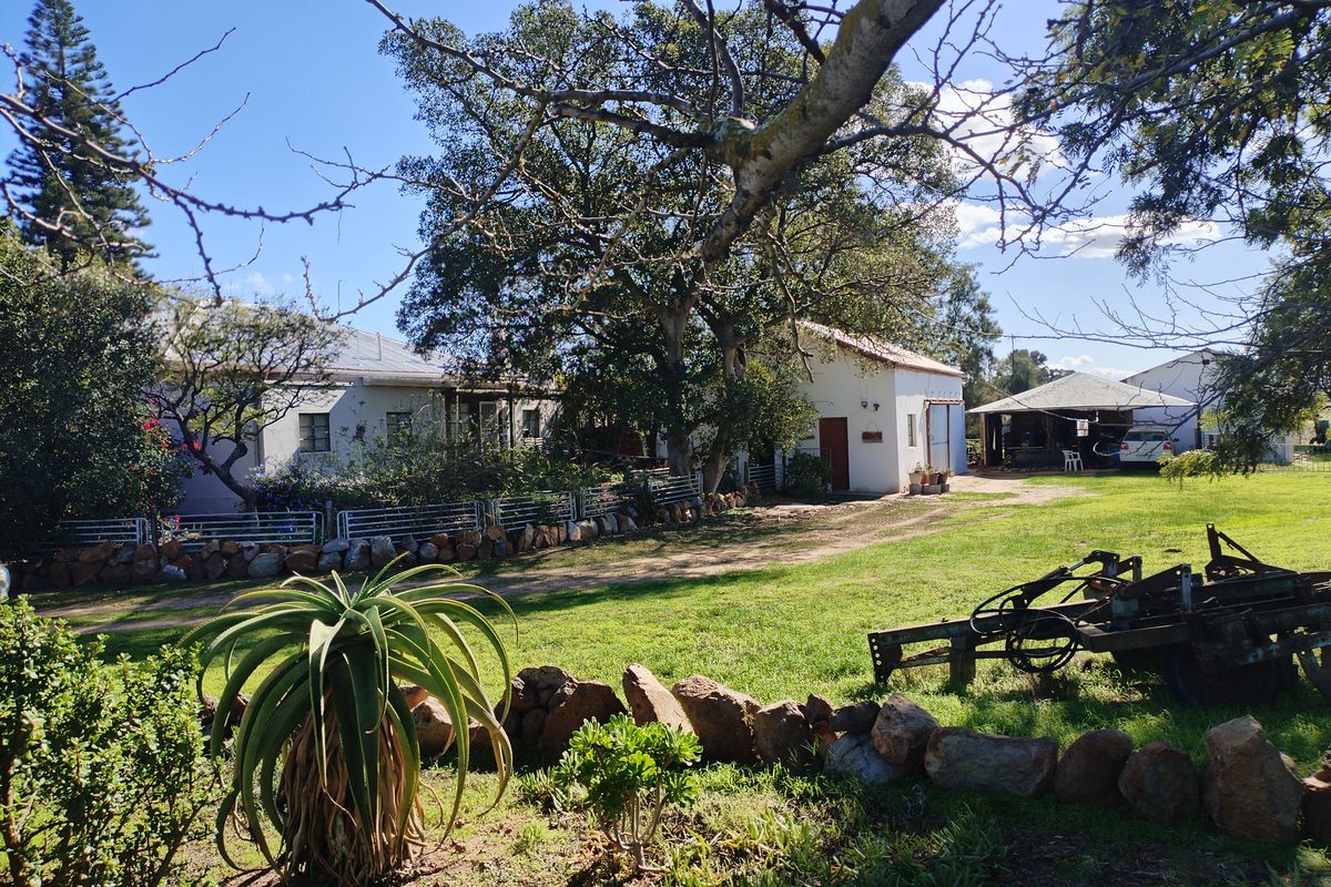 SMALLHOLDINGFOR SALE - Photo 4