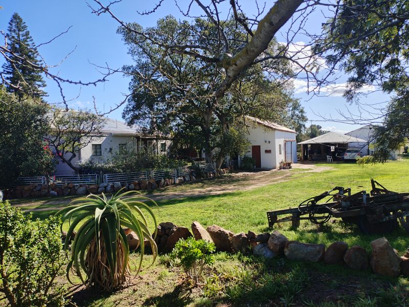 SMALLHOLDINGFOR SALE - Photo 4