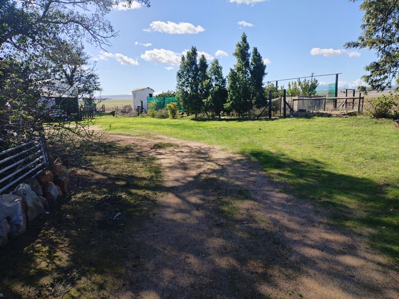 SMALLHOLDINGFOR SALE - Photo 6