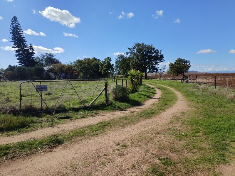SMALLHOLDINGFOR SALE - Photo 5