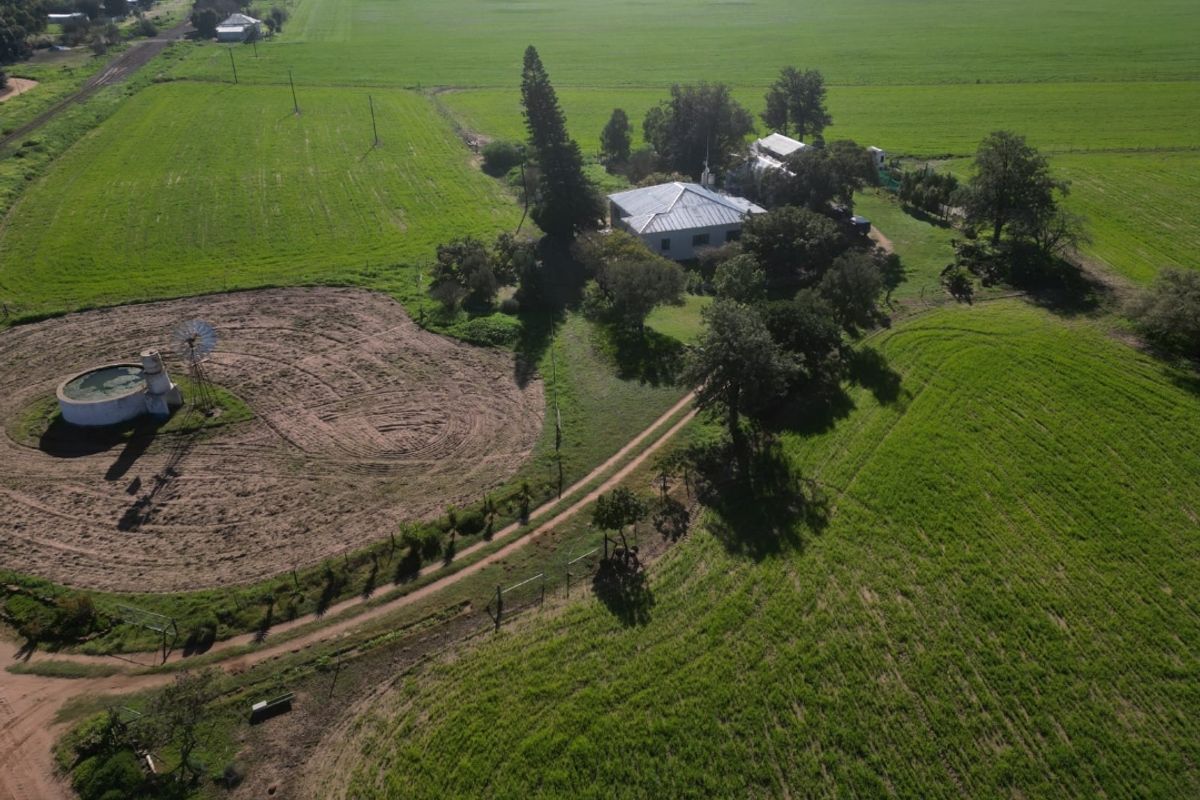 SMALLHOLDINGFOR SALE - Photo 2