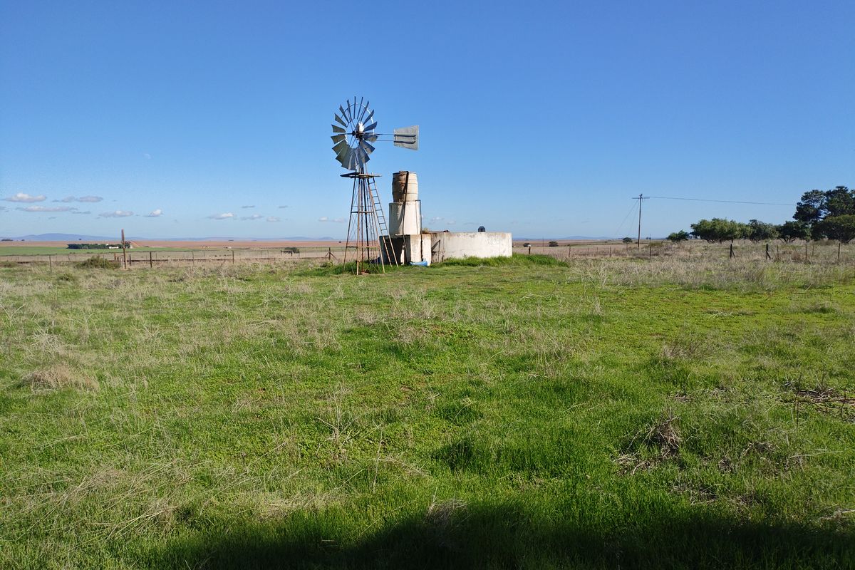SMALLHOLDINGFOR SALE - Photo 3