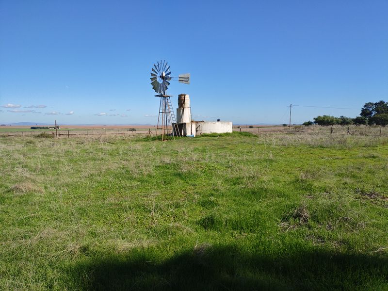 SMALLHOLDINGFOR SALE - Photo 3
