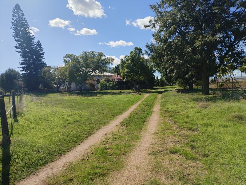 SMALLHOLDINGFOR SALE - Photo 9