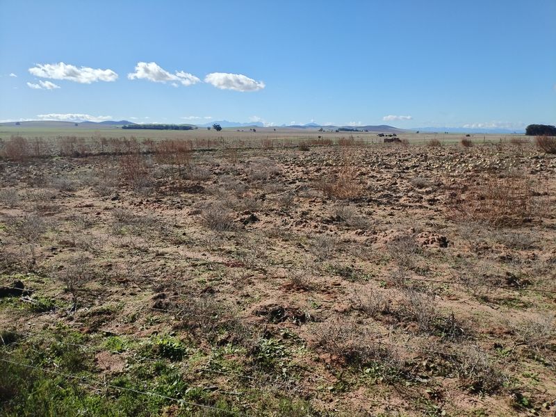 SMALLHOLDINGFOR SALE - Photo 8