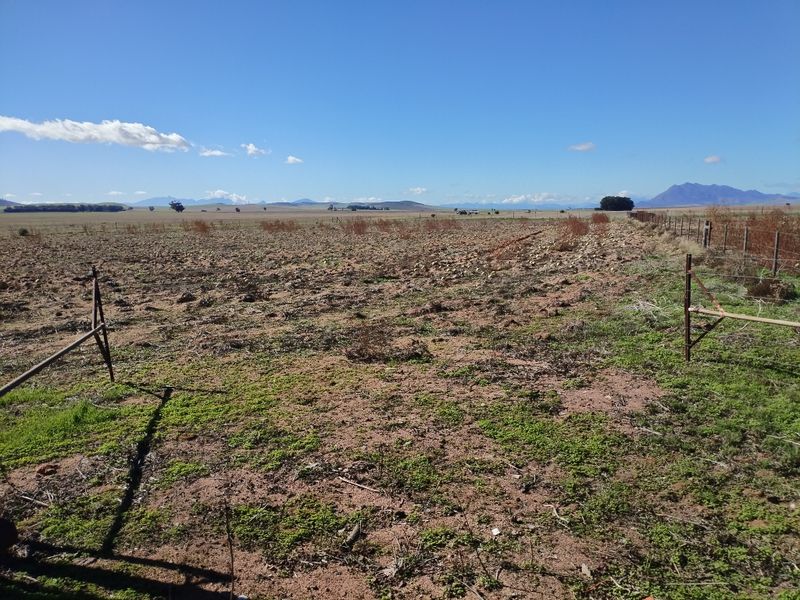 SMALLHOLDINGFOR SALE - Photo 7