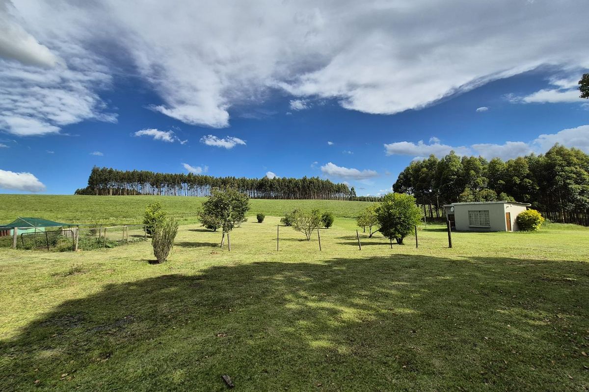 SMALLHOLDING IN PRIME LOCATION IN THE MIDLANDS - Photo 5