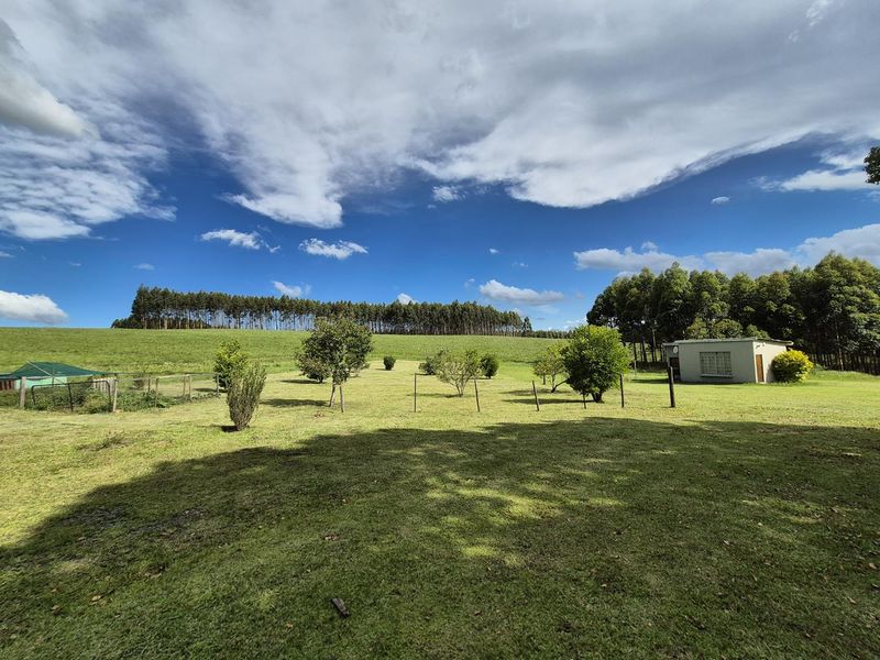 SMALLHOLDING IN PRIME LOCATION IN THE MIDLANDS - Photo 5