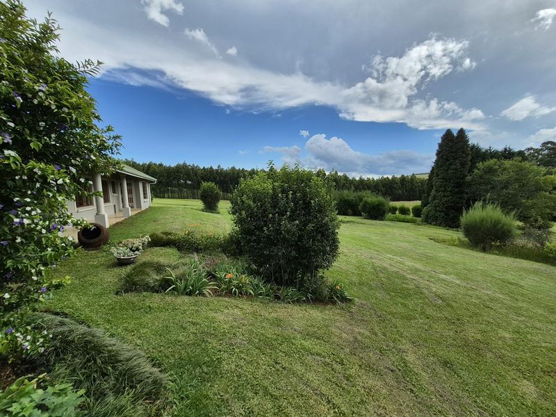 SMALLHOLDING IN PRIME LOCATION IN THE MIDLANDS - Photo 9