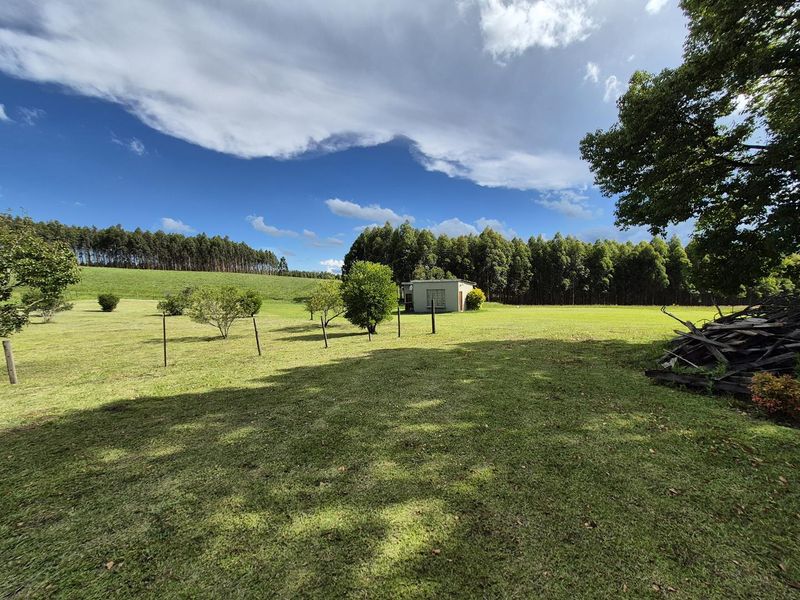 SMALLHOLDING IN PRIME LOCATION IN THE MIDLANDS - Photo 7
