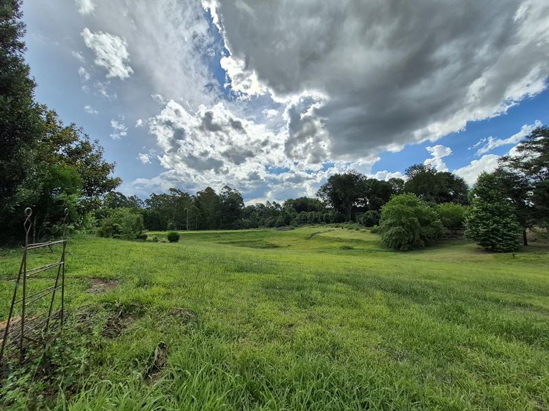 SMALLHOLDING IN PRIME LOCATION IN THE MIDLANDS - Photo 6