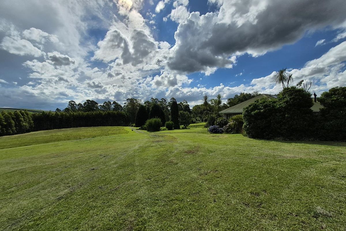 SMALLHOLDING IN PRIME LOCATION IN THE MIDLANDS - Photo 4