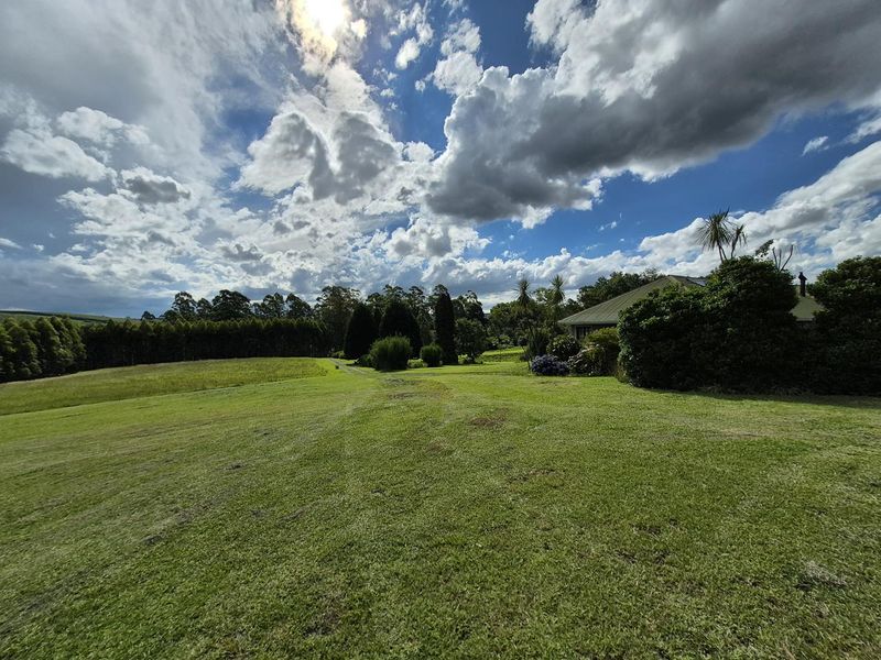 SMALLHOLDING IN PRIME LOCATION IN THE MIDLANDS - Photo 4