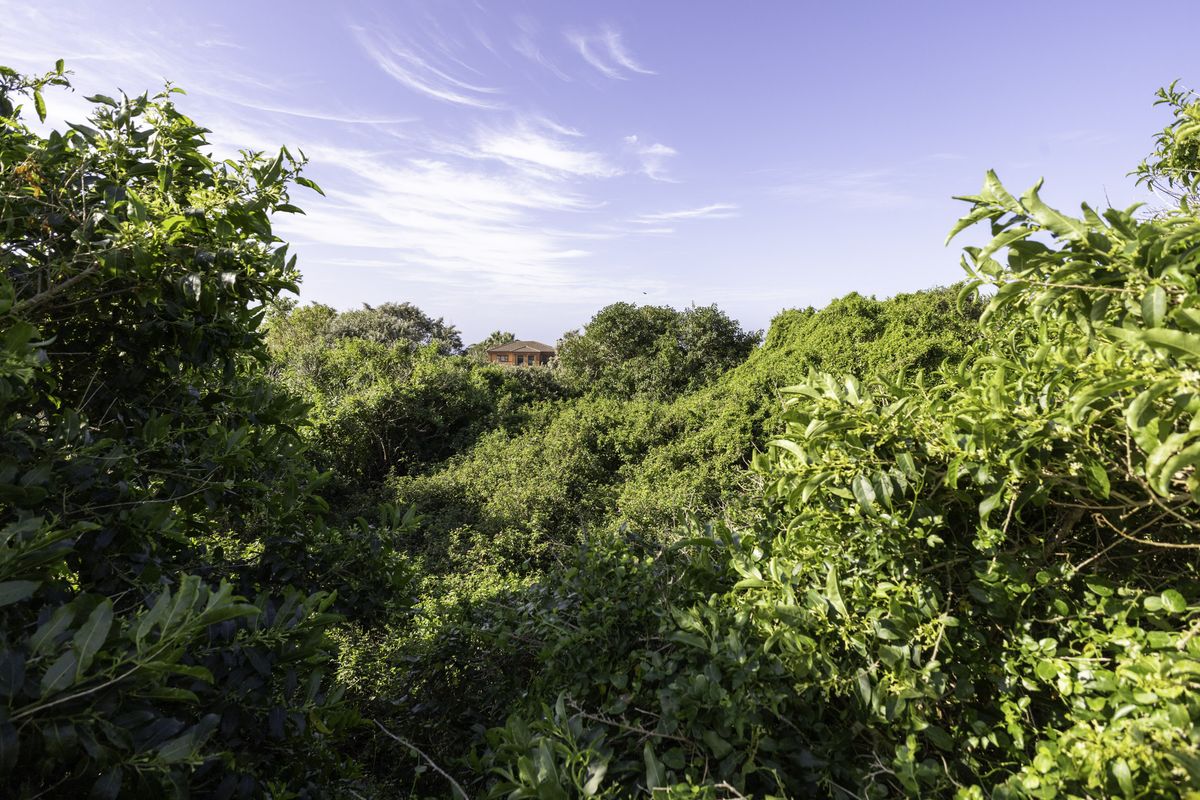 Vacant Stand for sale in Forest Downs South, Port Alfred - Photo 4
