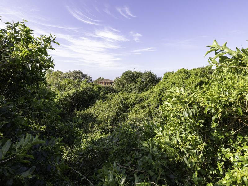 Vacant Stand for sale in Forest Downs South, Port Alfred - Photo 4