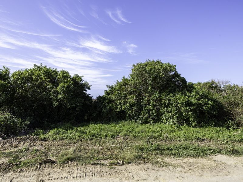 Vacant Stand for sale in Forest Downs South, Port Alfred - Photo 3
