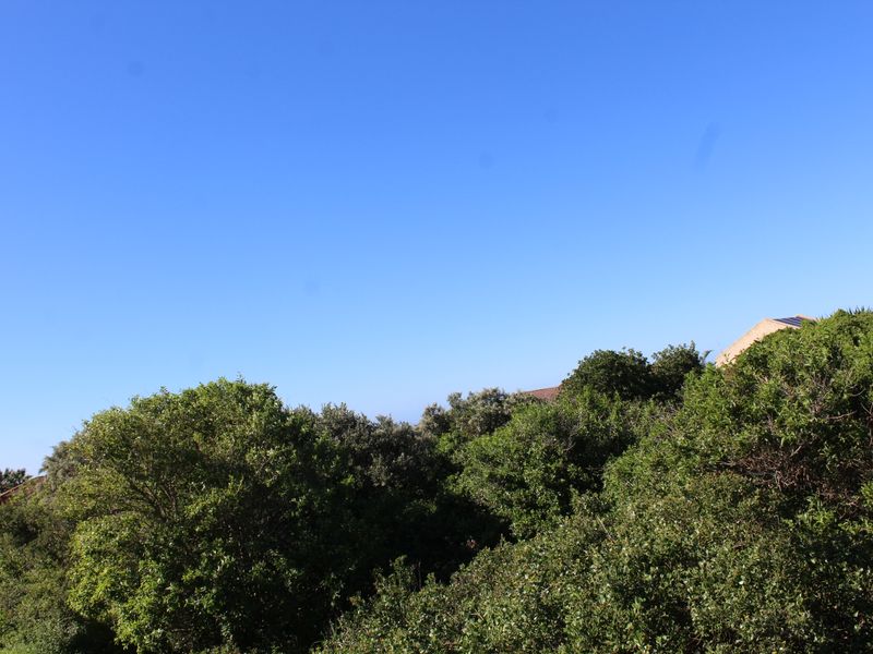 Vacant Stand for sale in Forest Downs South, Port Alfred - Photo 10